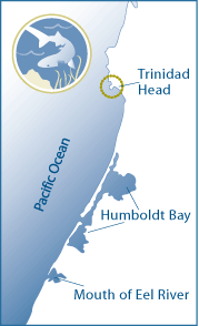 Map: Overview of coastline from Trinidad Head, south to Humboldt Bay, and Mouth of the Eel River.