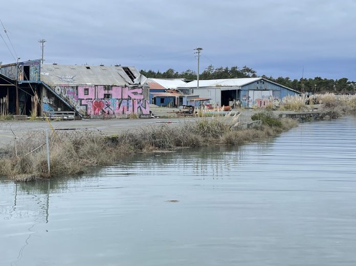 Photo: The former Sierra Pacific Industries lumber mill in Manila is one of dozens of low-lying contaminated sites around the bay. Although the site has been partially cleaned up, contaminated groundwater beneath the buildings could move off-site as groundwater rises, impacting Mad River Slough and the bay. Photo by Jen Kalt, Dec. 24, 2022