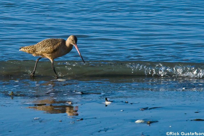 ©Humboldt Baykeeper