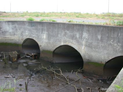 Storm Drains with lots of trash coming out